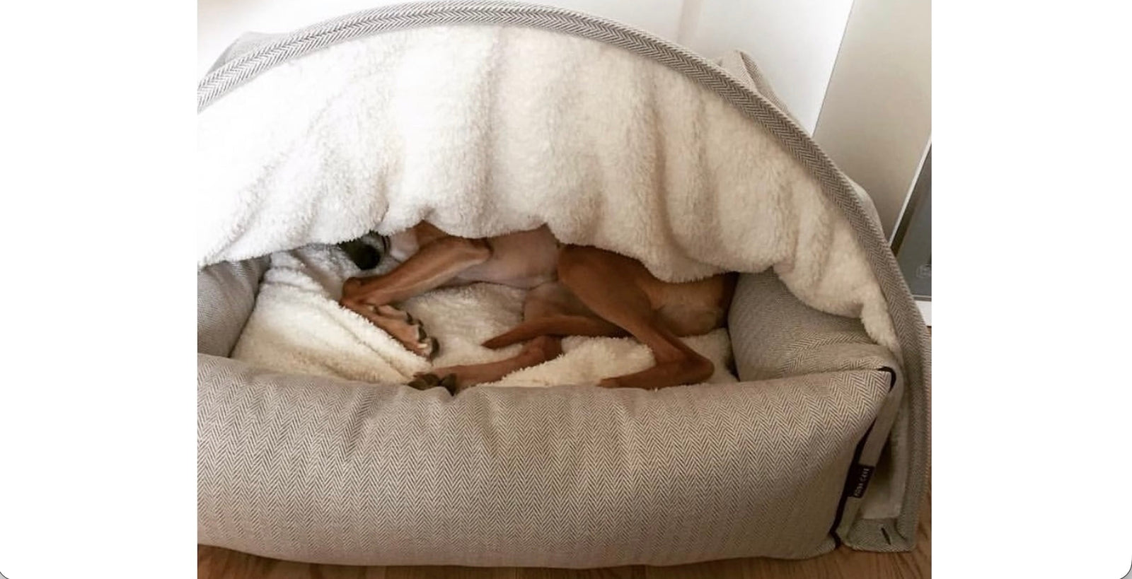 KONA CAVE® luxury cozy dog cave bed in cream herringbone with Itlaina Greyhound