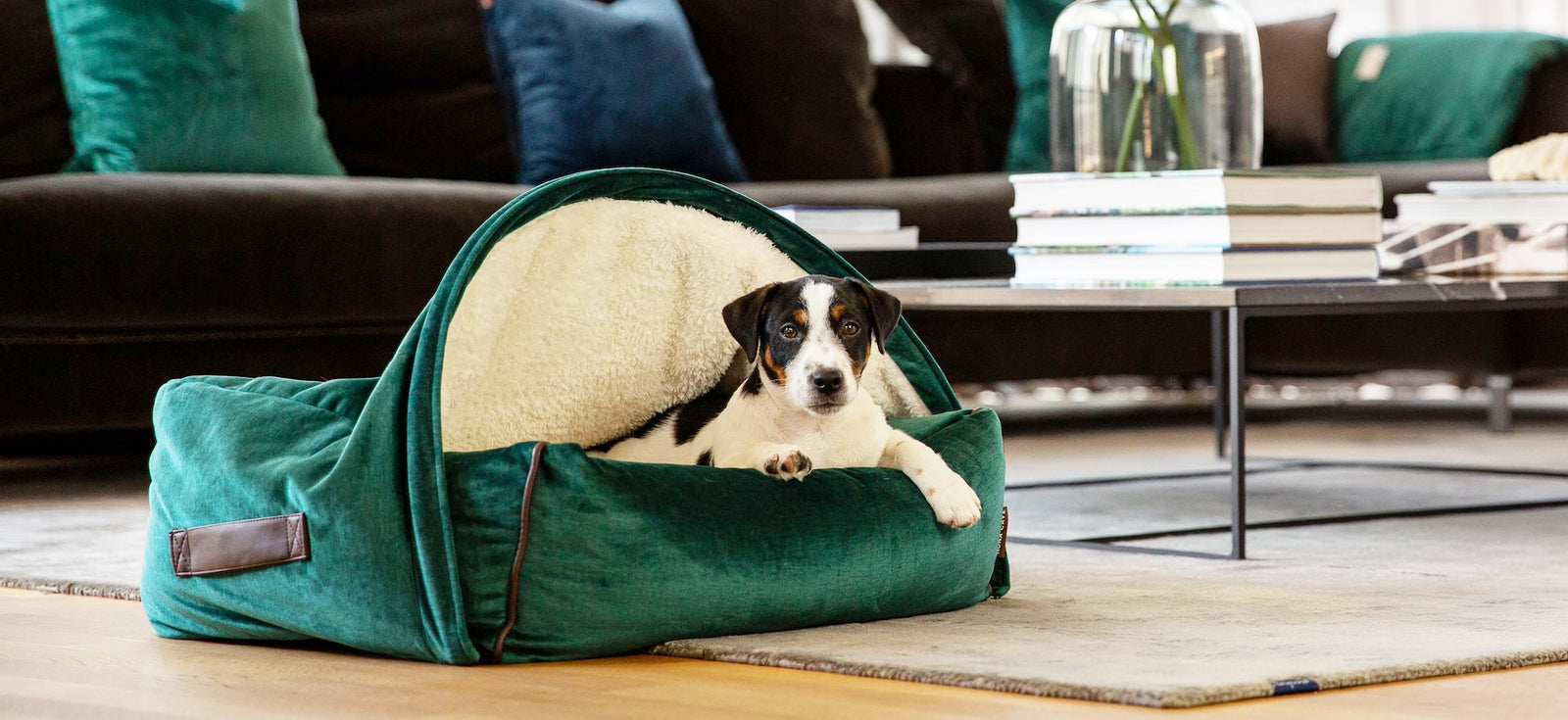 KONA CAVE® luxury covered cozy cave bed in green velvet with Jack Russell Terrier puppy