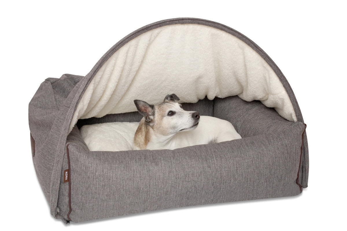 Are Cave Beds Good for Anxious Dogs?