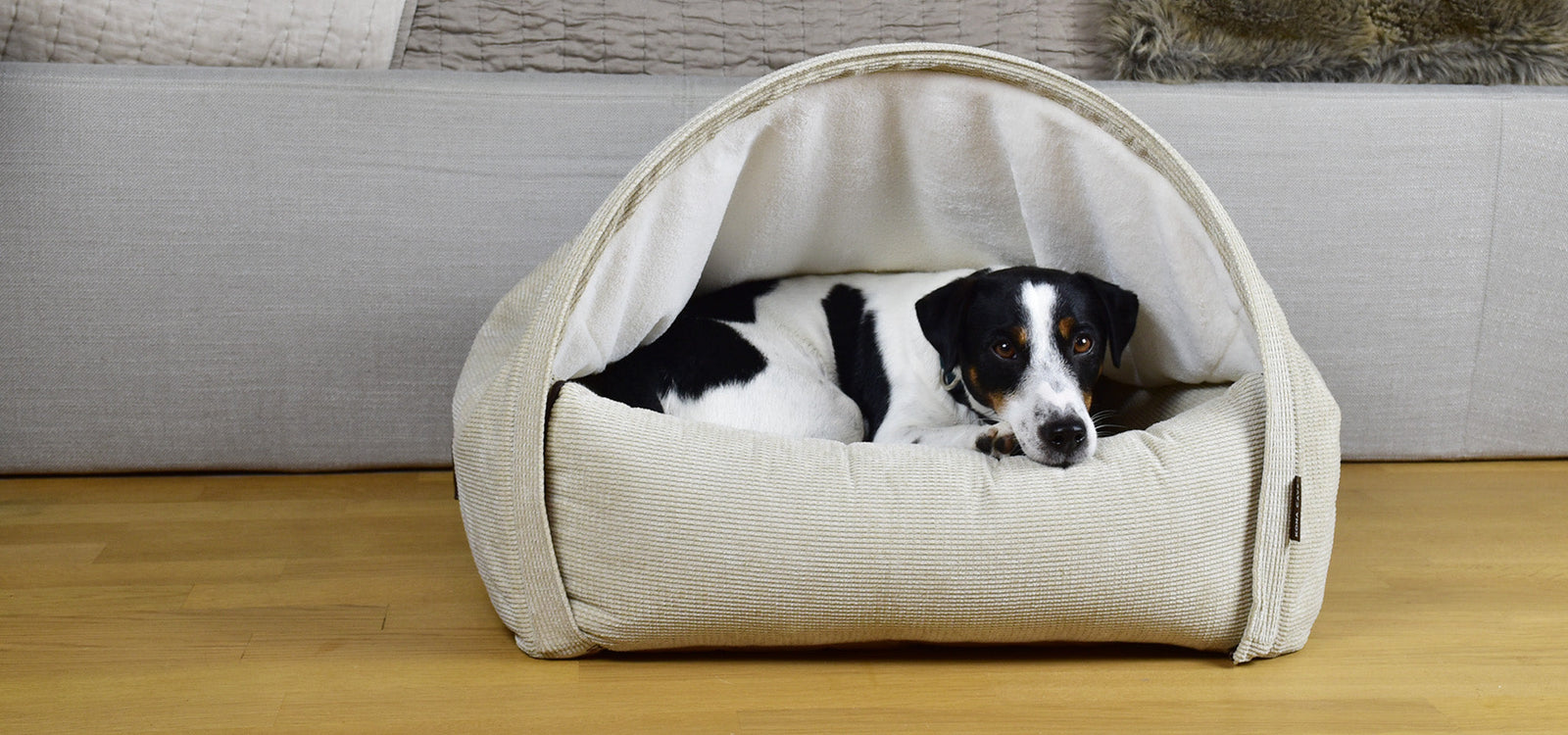 Luxury cozy cave dog bed in cream corduroy with Jack Russell Terrier snuggled in burrow bed. 