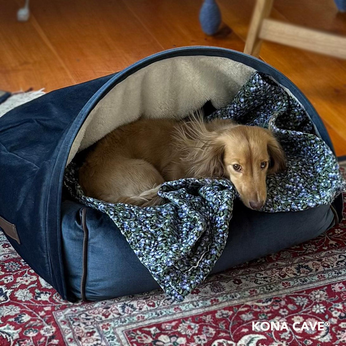 The Best Dog Bed for Dachshunds & Wiener Dogs — Why KONA CAVE®'s Patented 3-in-1 Design Matters