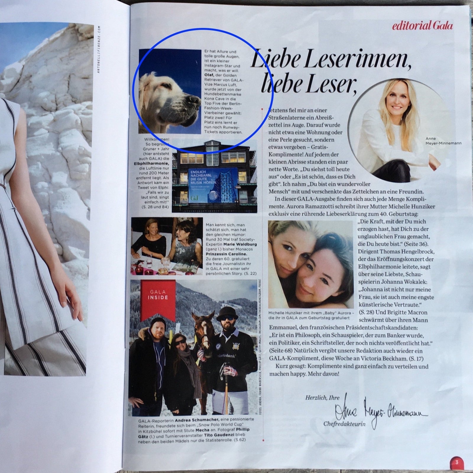 KONA CAVE® Designer Dog Beds in Gala Magazine Germany Press