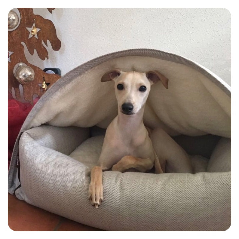 The Best Dog Bed for Greyhounds, Whippets & Sighthounds — Why KONA CAVE®'s Patented "3-in-1" Design Matters
