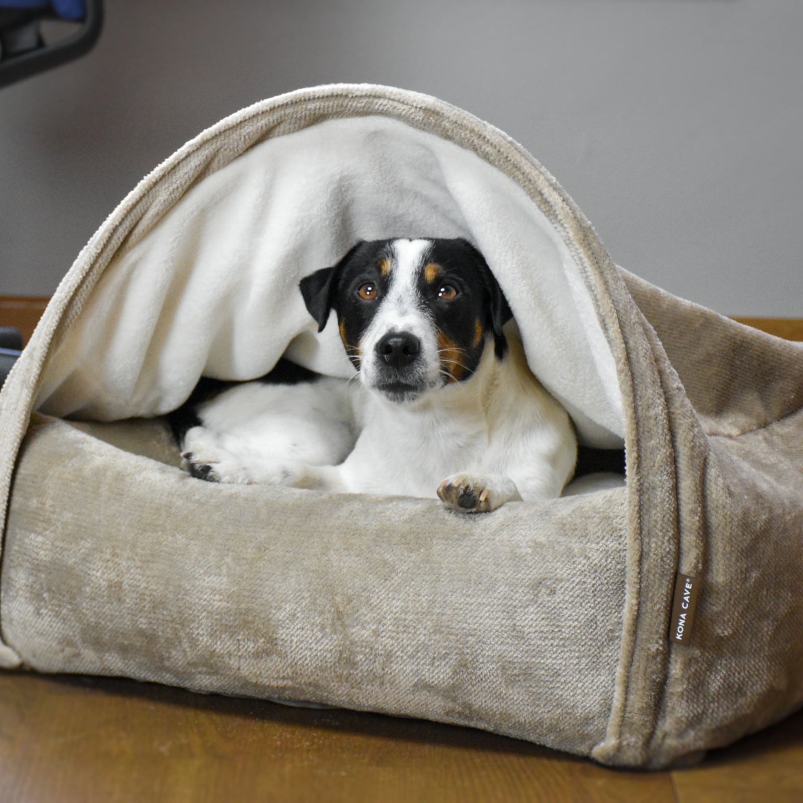 Jack Russell Terrier in a luxury KONA CAVE® snuggle cozy cave dog bed in beige