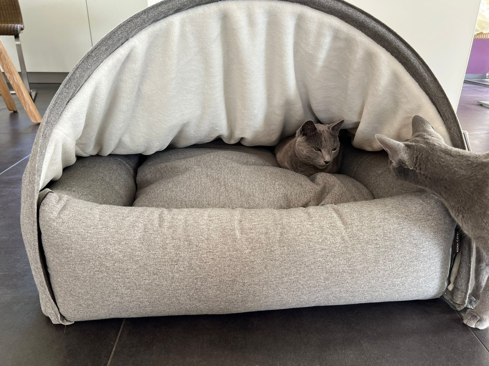 Russian Blue cats in a luxury cat cave bed in grey flannel by KONA CAVE® 