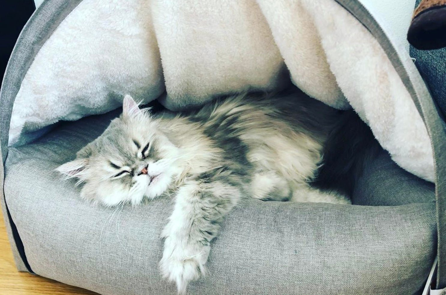 The Best Cat Cave Bed — Why Cats Love KONA CAVE®