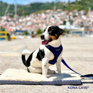 Luxury KONA CAVE® folded Travel Dog Bed open in Greece with adorable tri-color Jack Russell Terrier sitting on the bed. . 