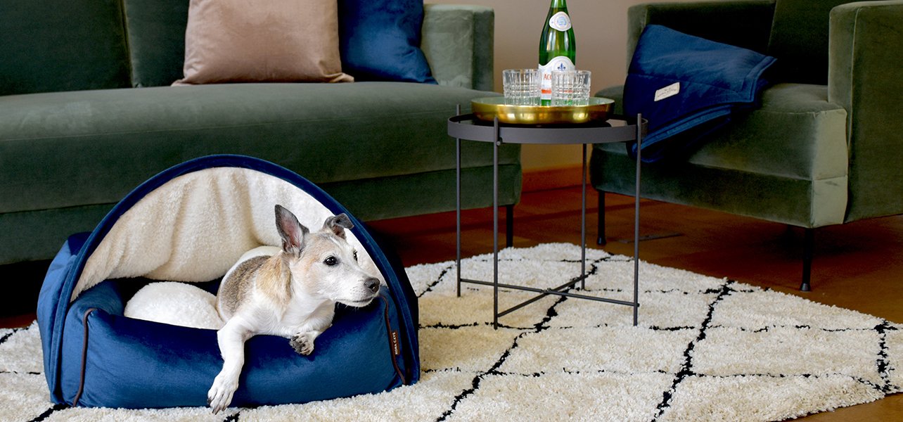 KONA CAVE® luxuriöses Kuschelhöhlen-Hundebett in blauem Samt in einem schönen Wohnzimmer. Kissen und Decke aus Samt passen zum Hundebett. Das beste Bett für Jack Russell Terrier