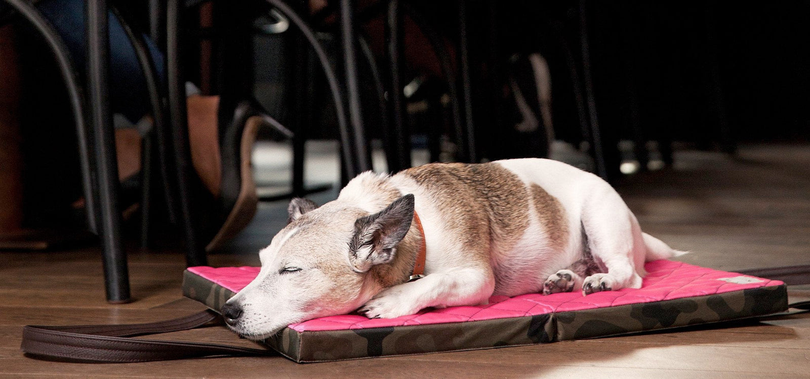 KONA CAVE® - Ihr Hund braucht ein Reisebett für Sicherheit und Komfort