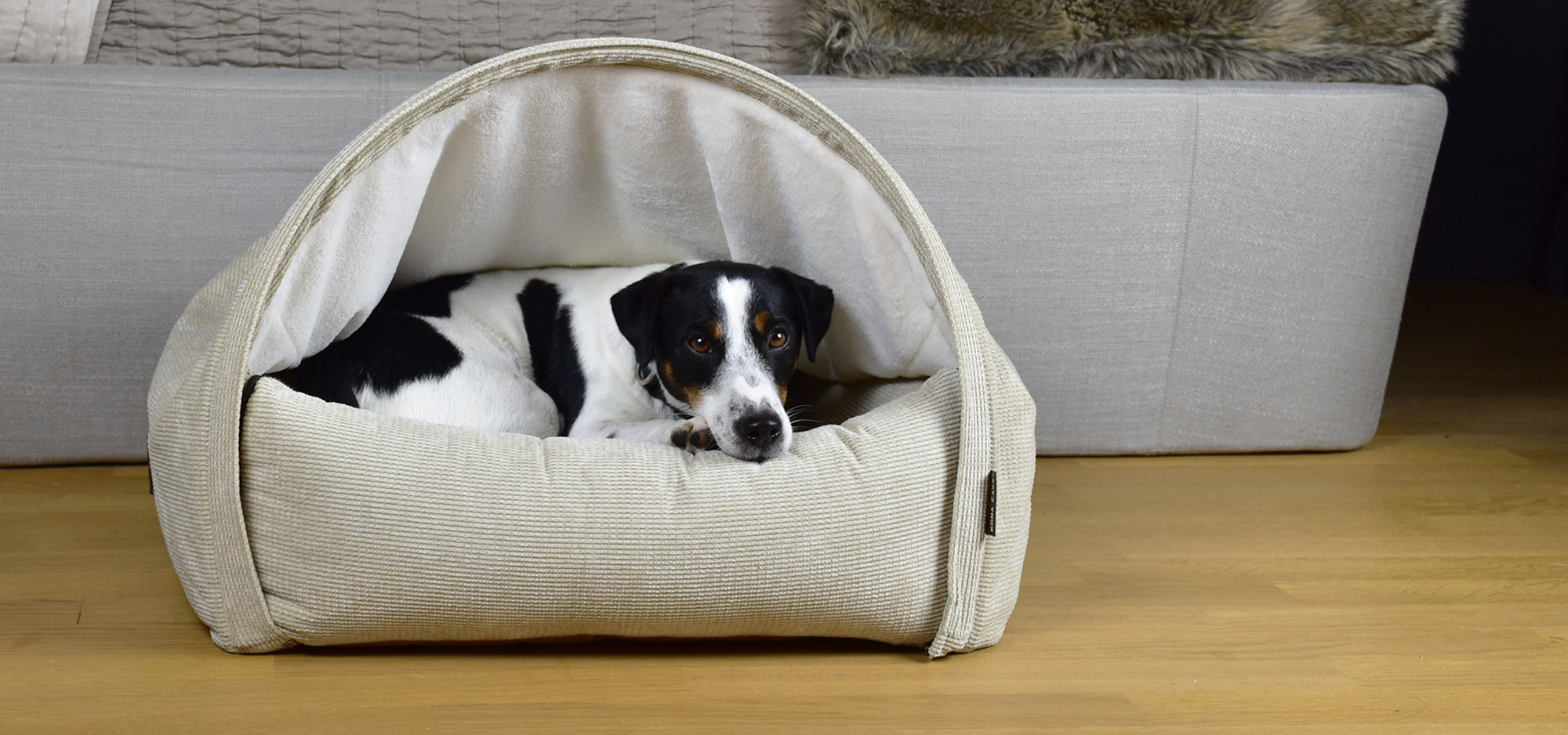 KONA CAVE® Luxury Cave Dog Bed in light tan color and corduroy fabric. Removable canopy cover, zips off. Jack Russell Terrier (black, white and tan) snuggled into the den bed. Dog in dog bed in front of a luxury Italia BnB Bed. 