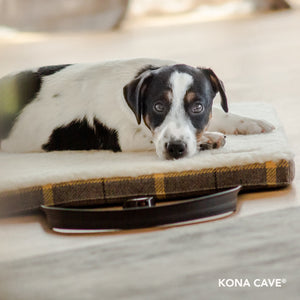Travel Dog Bed by KONA CAVE®. Restaurant dog bed. Folded and cozy dog bed with fluffy lining in golden plaid fabric.
