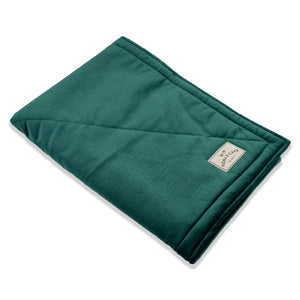 KONA CAVE® Emerald Green Velvet Pet Blanket with Sherpa Fleece Lining (Small)